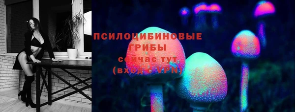 PSILOCYBIN Абаза