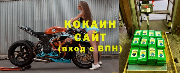 apvp Алексин