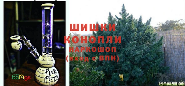 индика Абинск