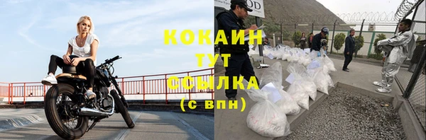 амф Новозыбков