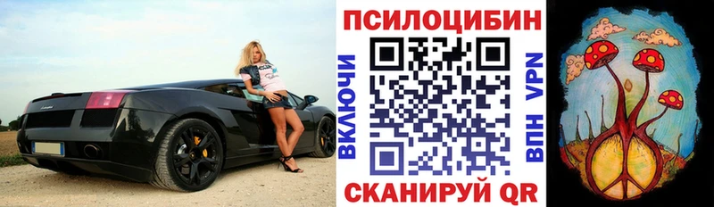 закладка  hydra зеркало  Псилоцибиновые грибы GOLDEN TEACHER  Чишмы 
